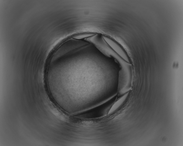 X0000091990391200710041134