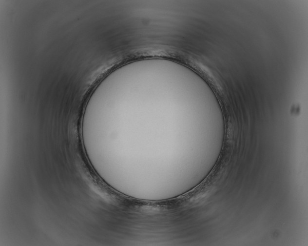 X0000091990394200710041134
