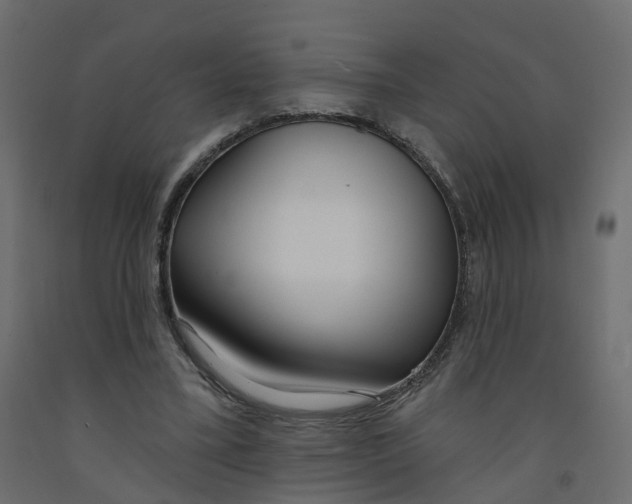 X0000091990395200710041134