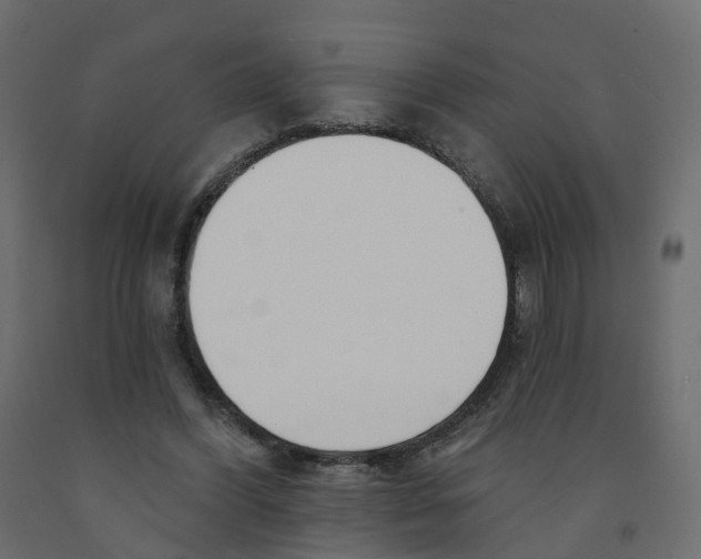 X0000091990396200710041134