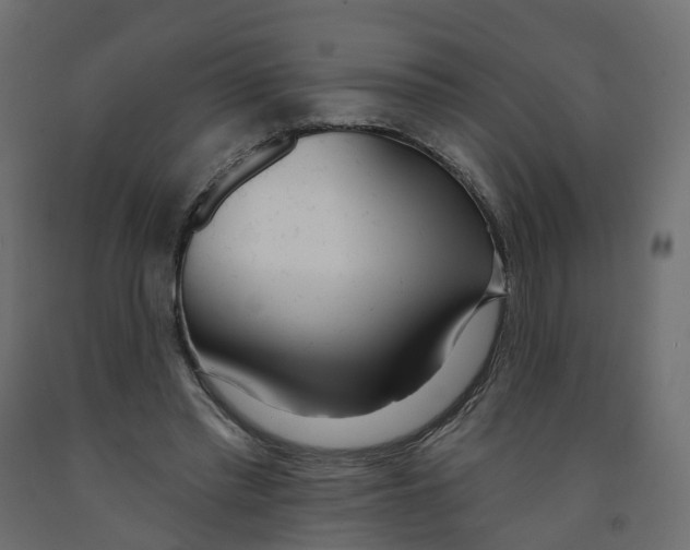 X0000091990397200710041134