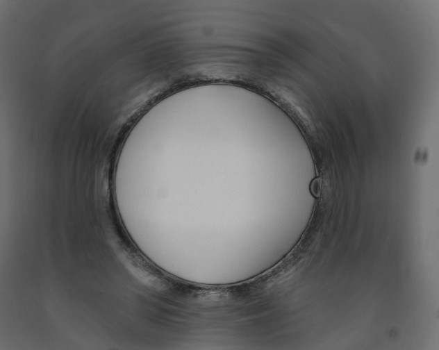 X0000091990398200710041134