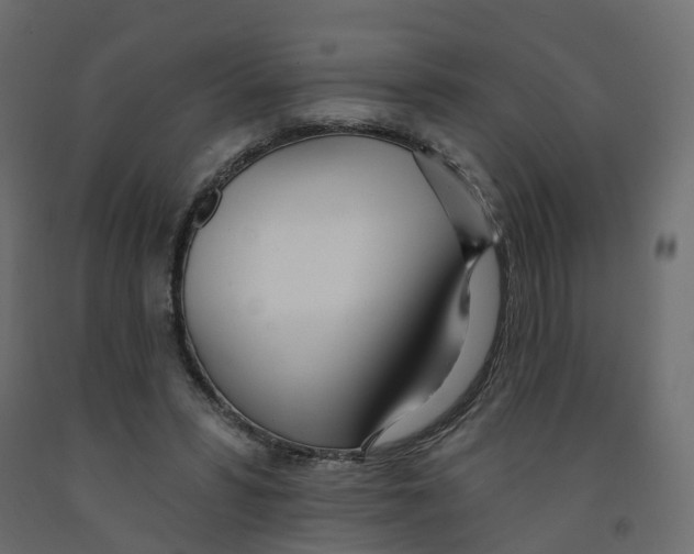X0000091990399200710041134