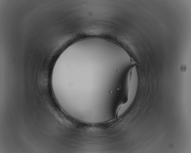 X0000091990400200710041134