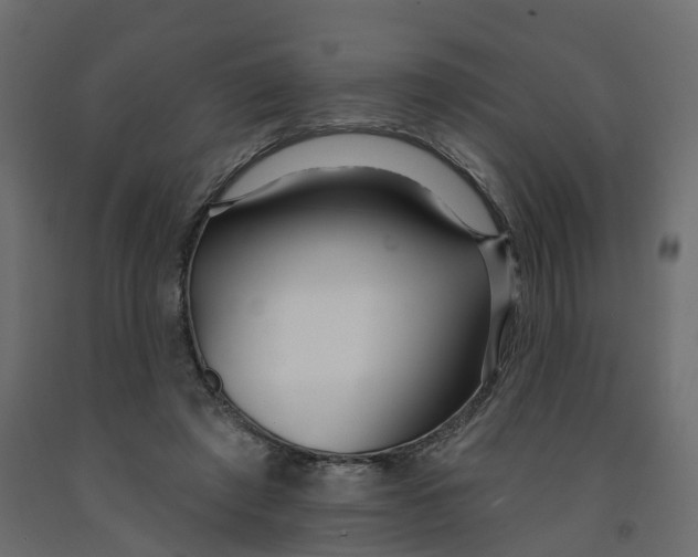X0000091990401200710041134