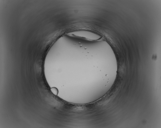 X0000091990402200710041134