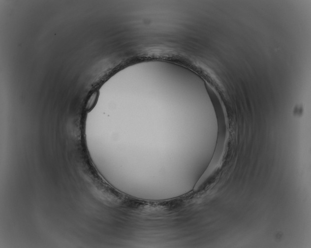 X0000091990403200710041134