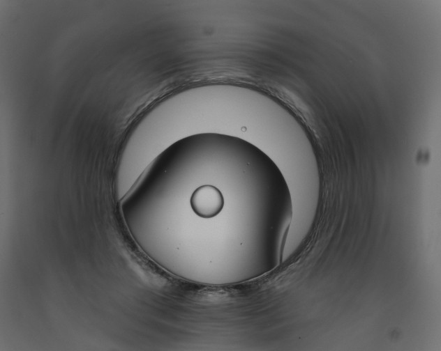 X0000091990405200710041134