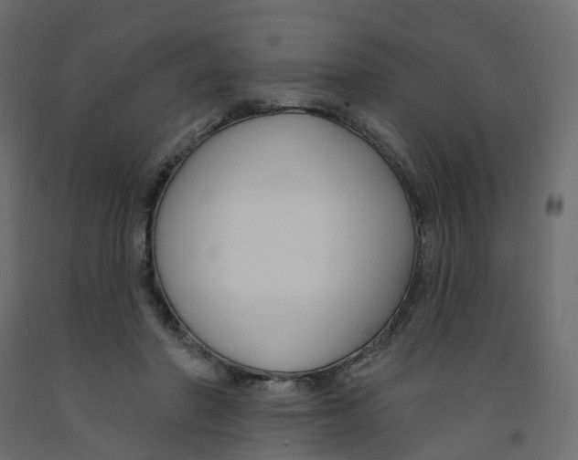 X0000091990406200710041134