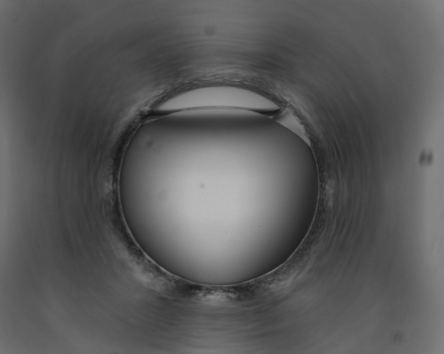 X0000091990407200710041134