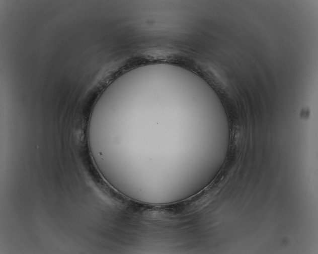 X0000091990408200710041134