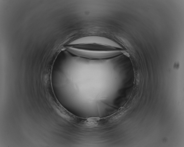 X0000091990409200710041134