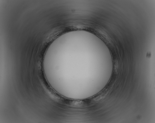 X0000091990410200710041134