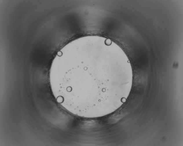 X0000091990411200710041134