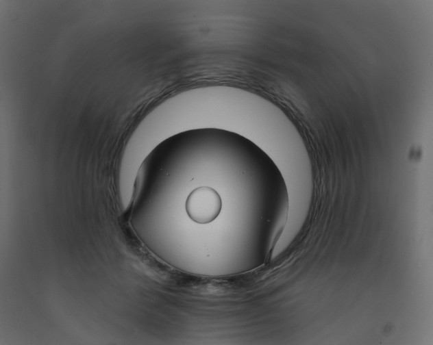 X0000091990412200710041134