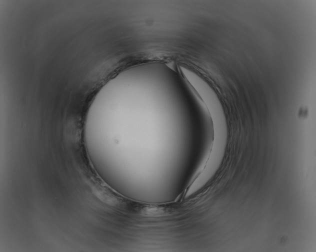 X0000091990413200710041134