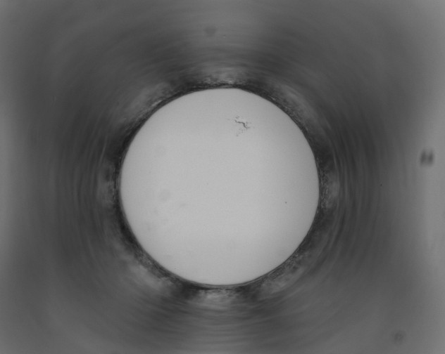 X0000091990414200710041134