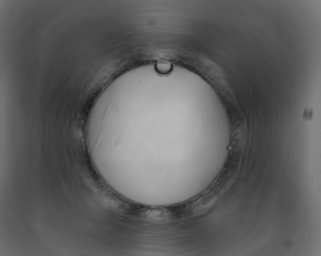 X0000091990415200710041134