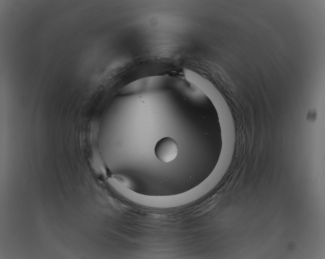 X0000091990416200710041134