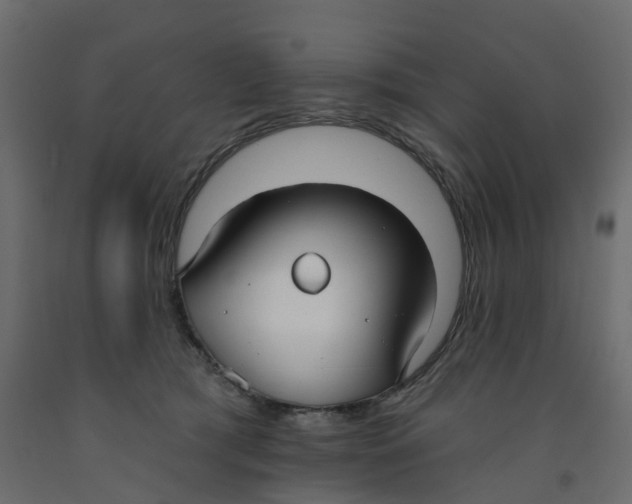 X0000091990417200710041134