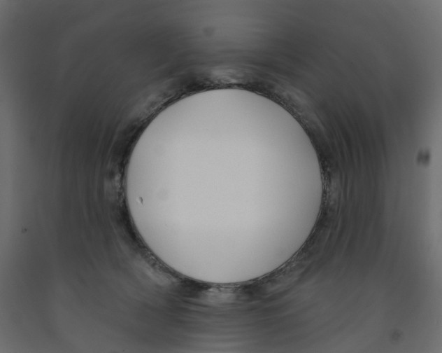 X0000091990418200710041134