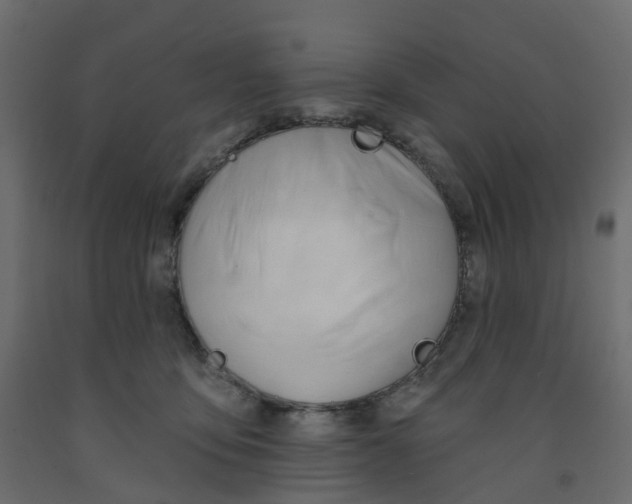 X0000091990419200710041134