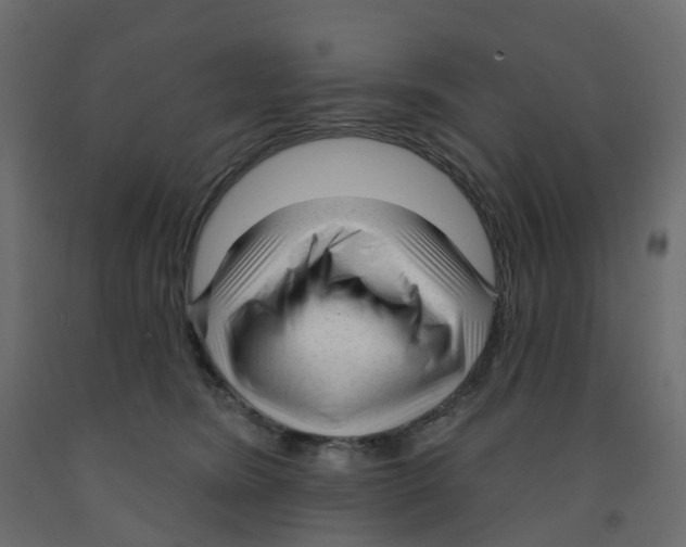 X0000091990420200710041134