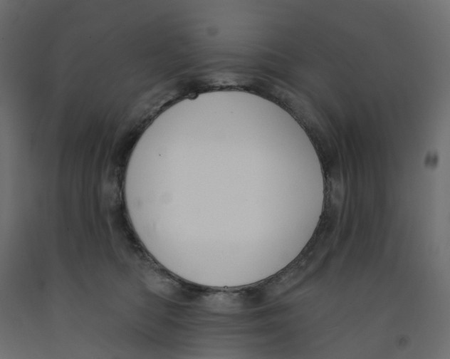 X0000091990422200710041134