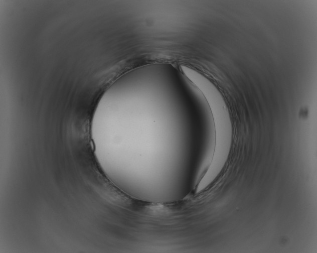 X0000091990425200710041134