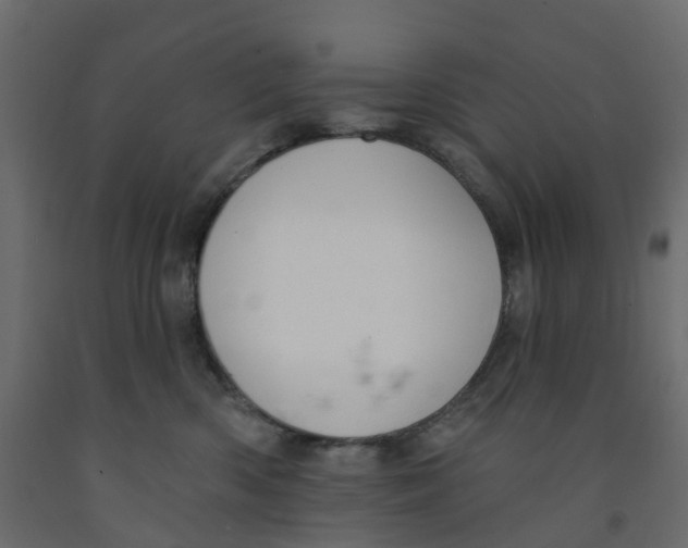 X0000091990426200710041133