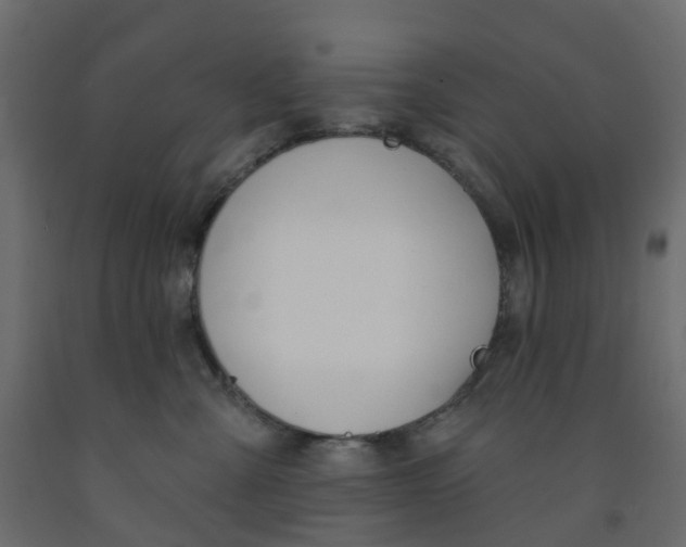 X0000091990427200710041133