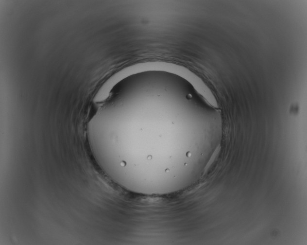X0000091990428200710041133