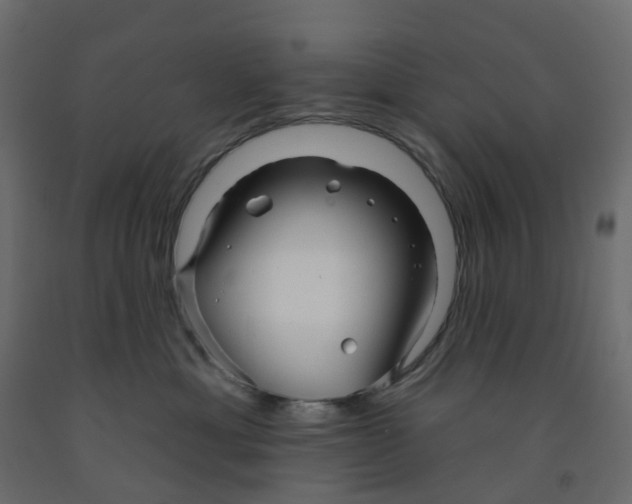 X0000091990429200710041133