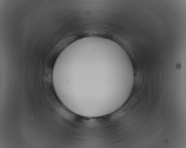 X0000091990430200710041133