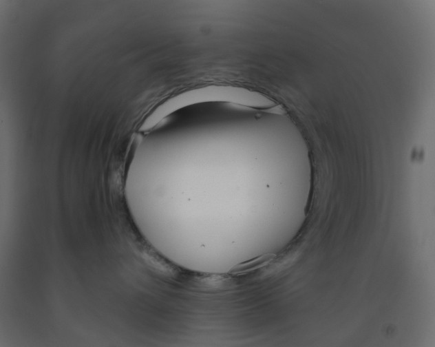 X0000091990432200710041133