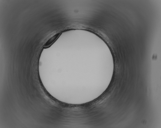 X0000091990433200710041133