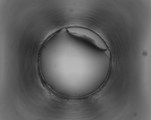 X0000091990434200710041133