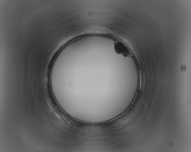 X0000091990435200710041133