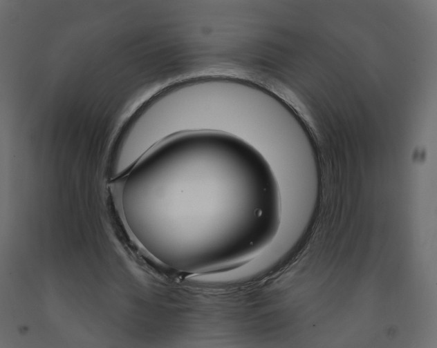 X0000091990436200710041133