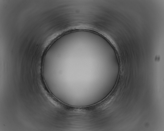 X0000091990437200710041133