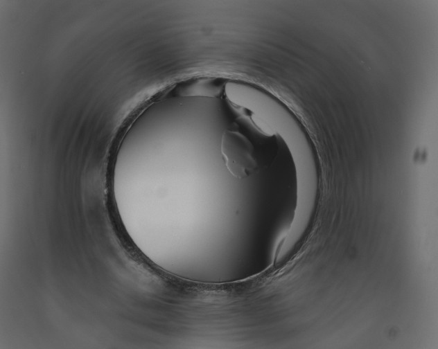 X0000091990438200710041133