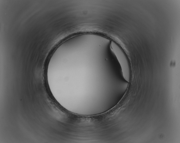 X0000091990439200710041133