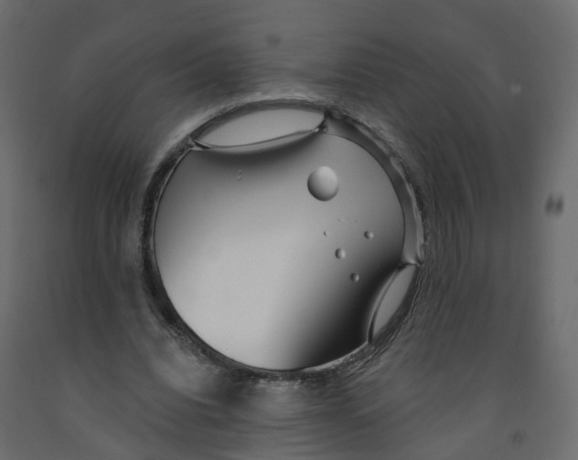 X0000091990440200710041133