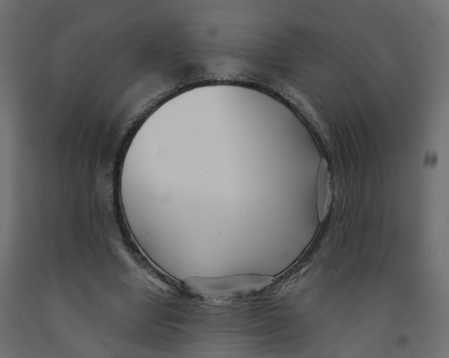 X0000091990442200710041133