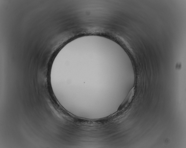 X0000091990443200710041133