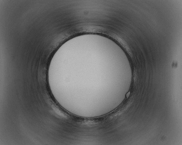 X0000091990445200710041133