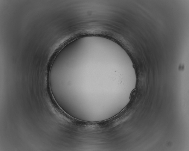 X0000091990446200710041133