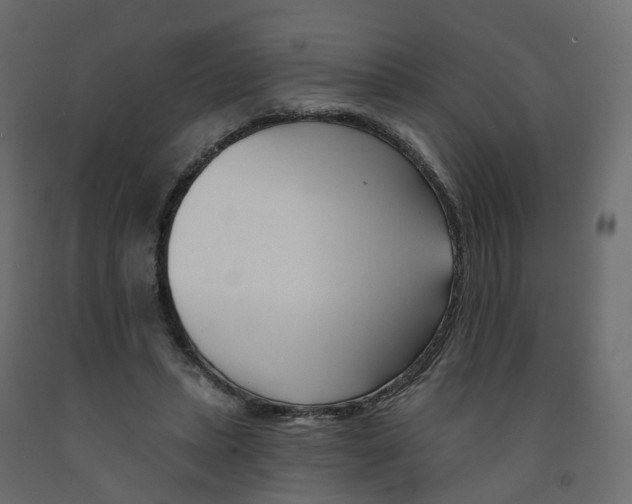 X0000091990447200710041133