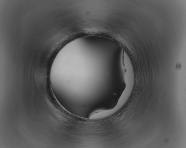 X0000091990448200710041133