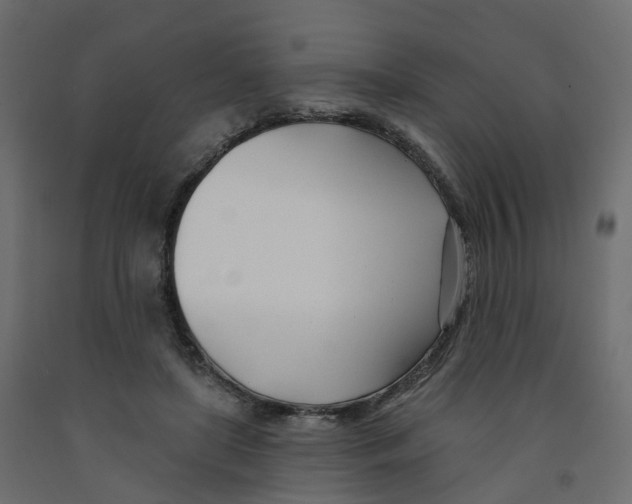 X0000091990451200710041133